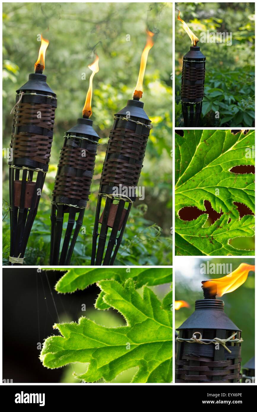 Bamboo citronella torches to repell mosquitoes and other insects Stock
