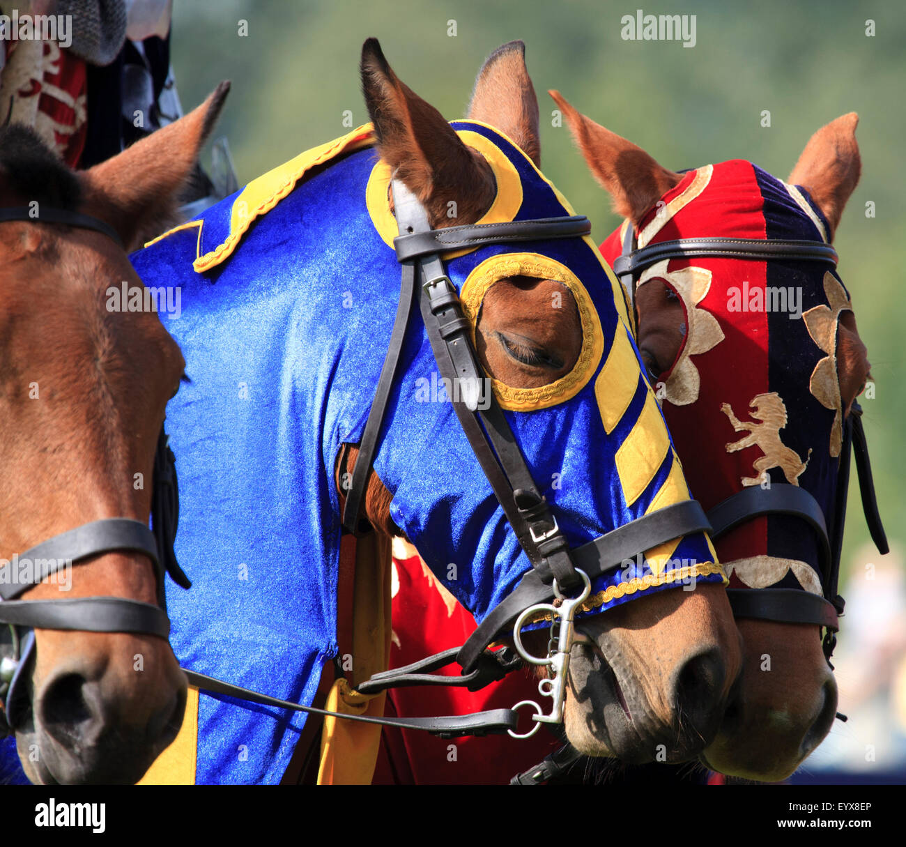 Jousting horses hires stock photography and images Alamy