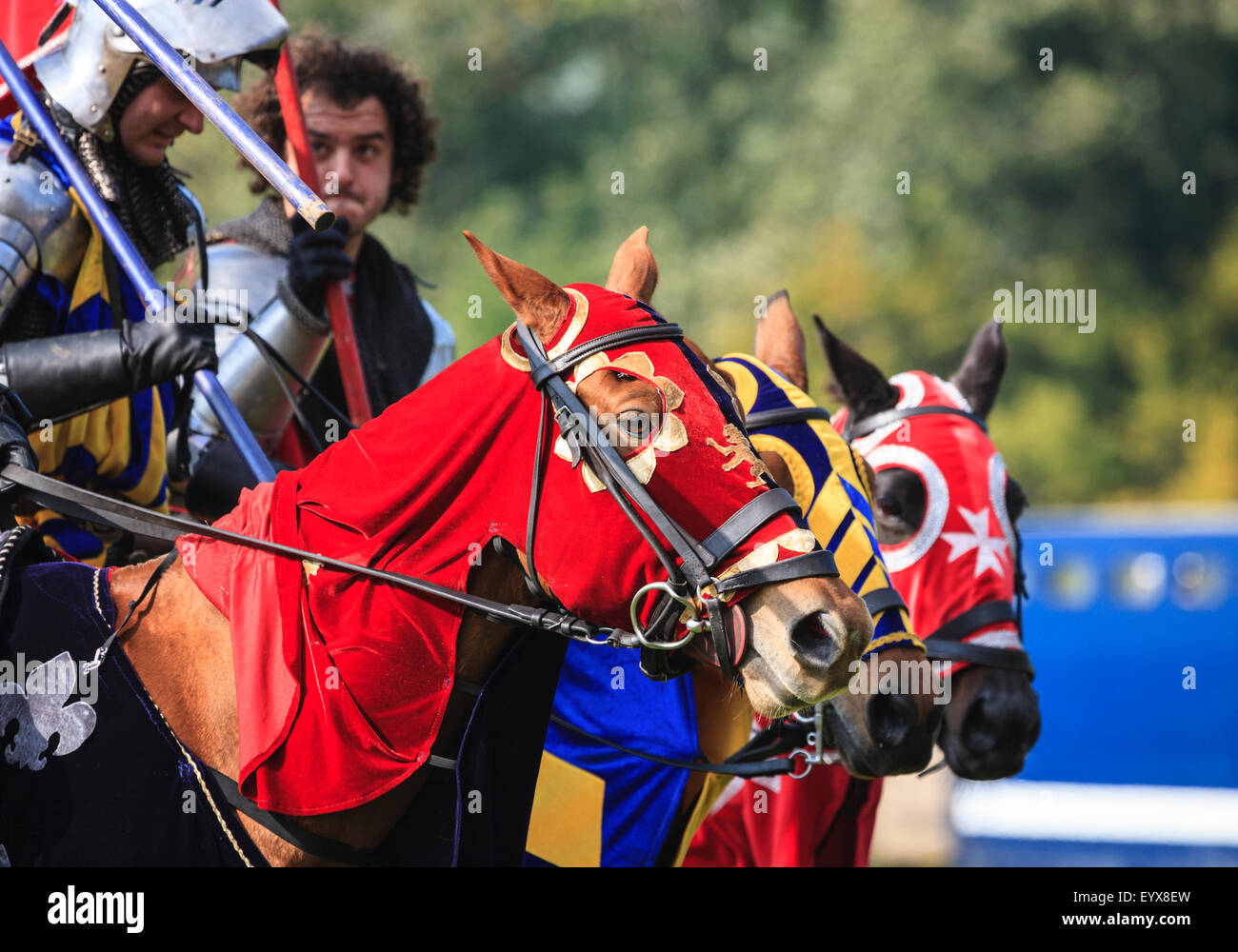 Jousting horses hires stock photography and images Alamy