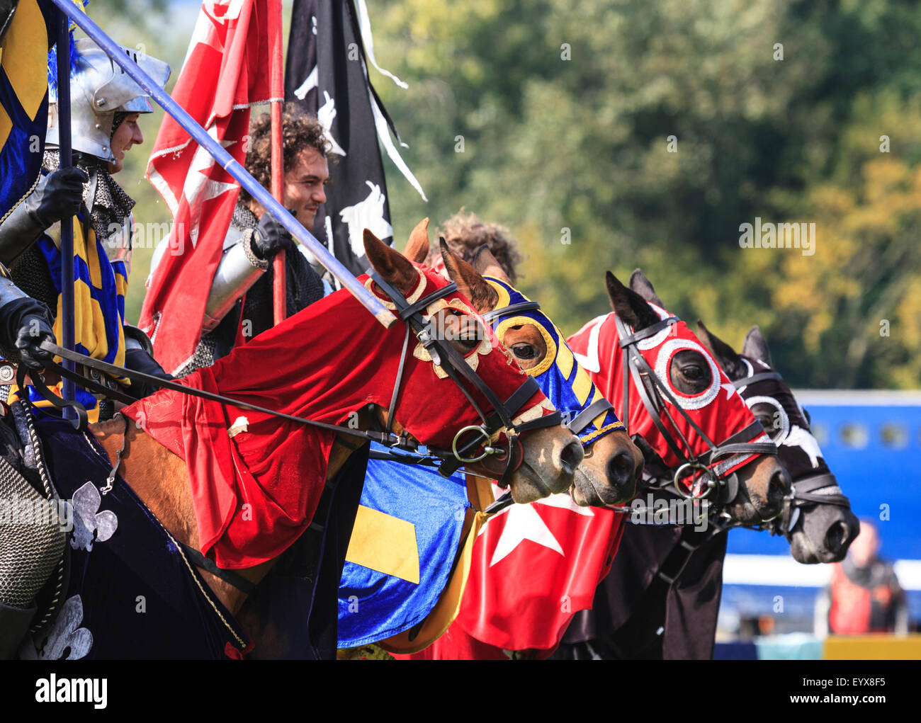 Jousting Horses Stock Photo Alamy