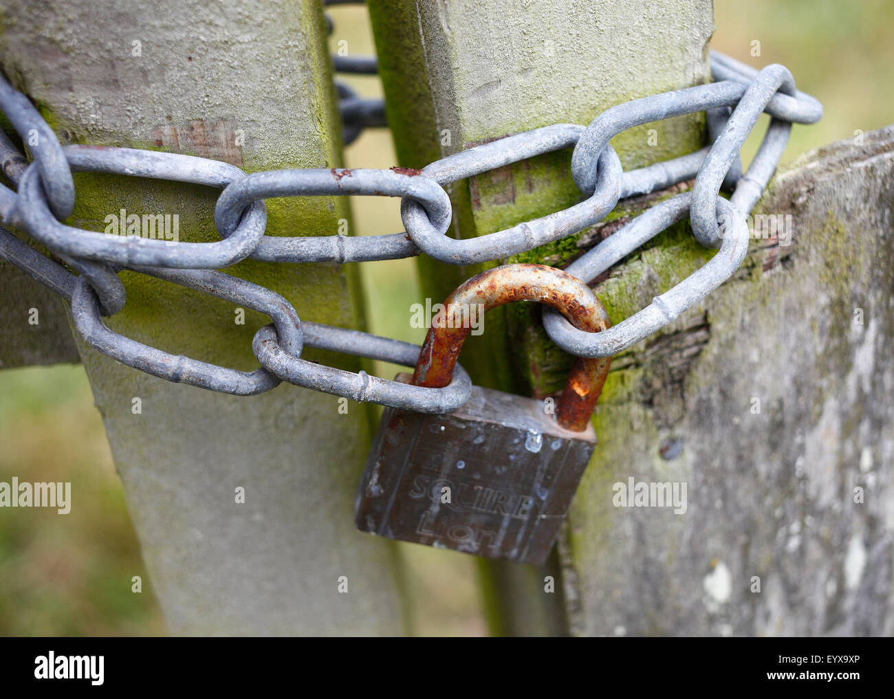 Padlock and chains keeping a gate shut. Stock Photo