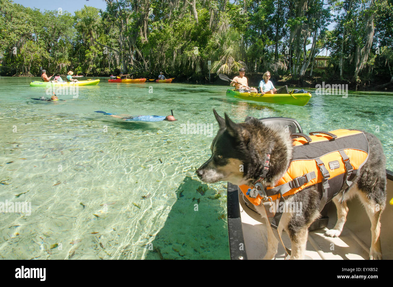 Three sisters springs florida snorkel hires stock photography and