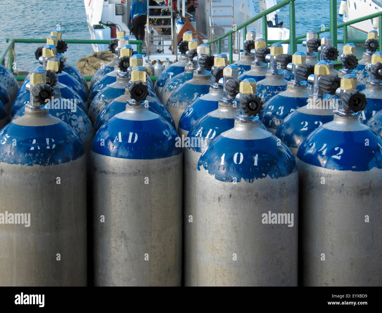 Rows of oxygen storage tanks used for scuba diving, with dive boats in