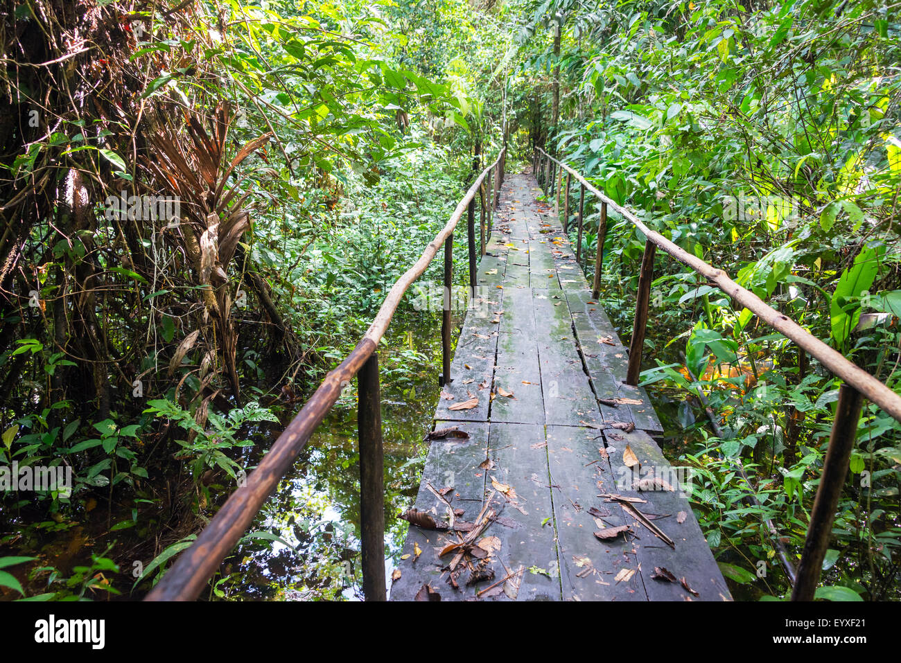 Wooden bridge passing over a small creek in the Amazon jungle near Iquitos, Peru Stock Photo