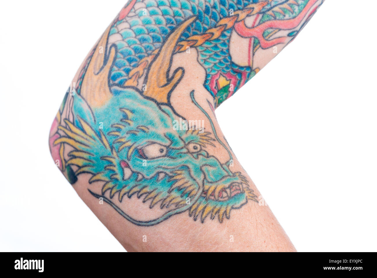 A detailed shot of a blue/green dragon tattoo in Japanese style on the forearm, elbow and bicep of a white male isolated on a wh Stock Photo