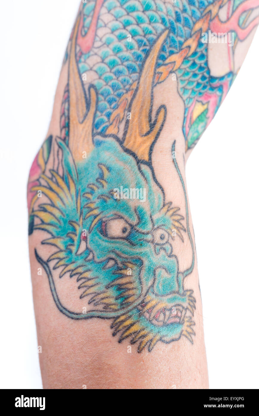 A detailed shot of a blue/green dragon tattoo in Japanese style on the forearm, elbow and bicep of a white male isolated on a wh Stock Photo