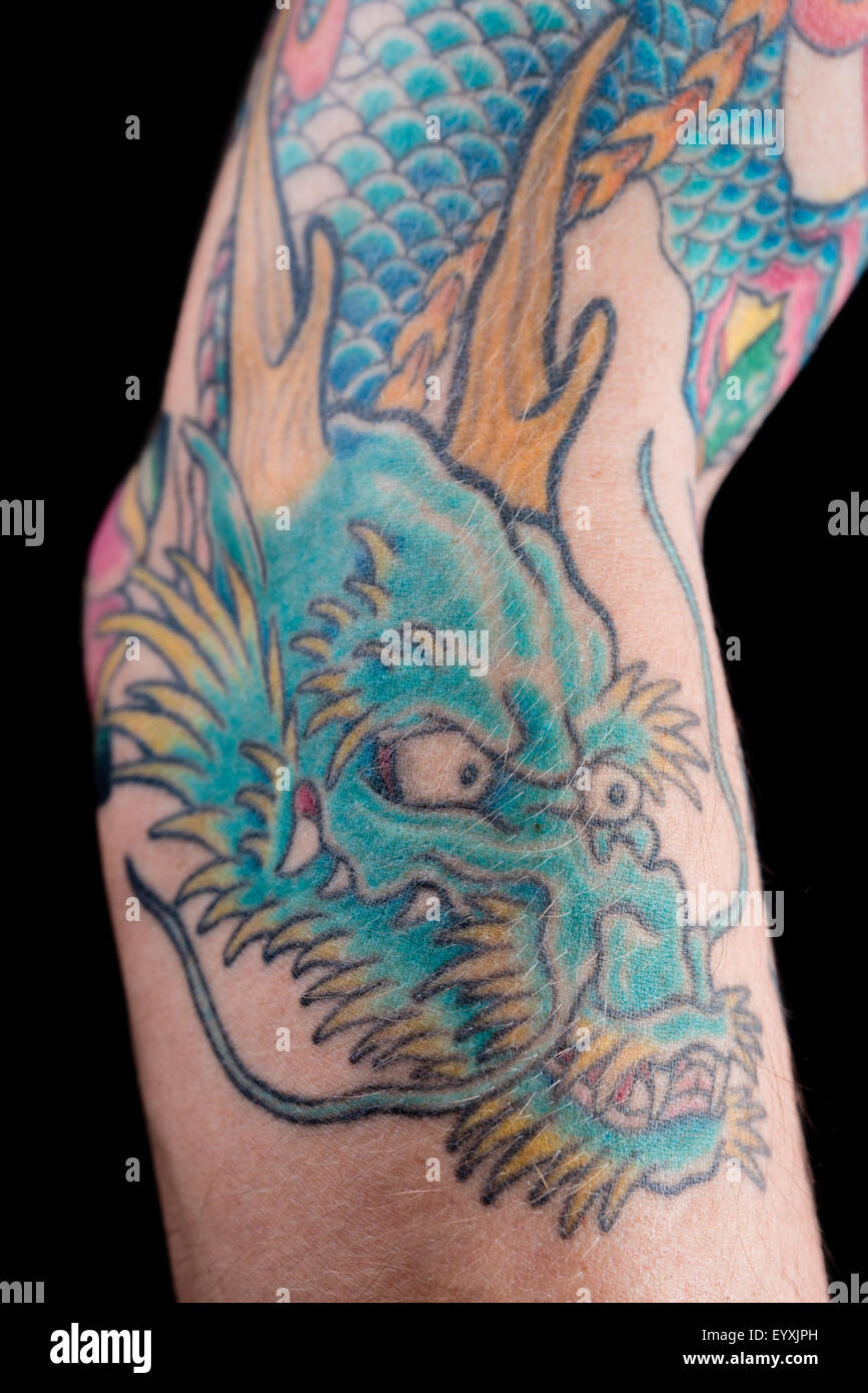 A detailed shot of a blue/green dragon tattoo in Japanese style on the forearm, elbow and bicep of a white male isolated on a bl Stock Photo