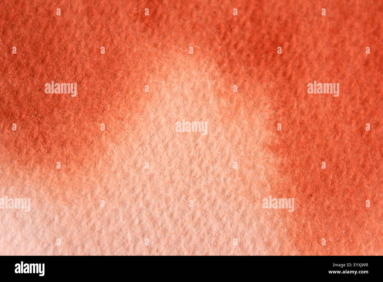 Macro Burnt Orange Watercolor Stock Photo Alamy