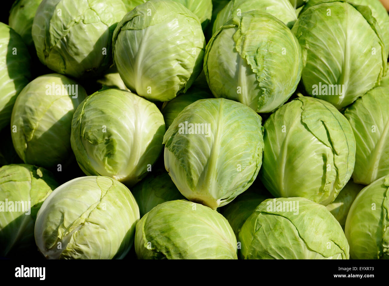 Stack of Fresh Green Cabbage Stock Photo