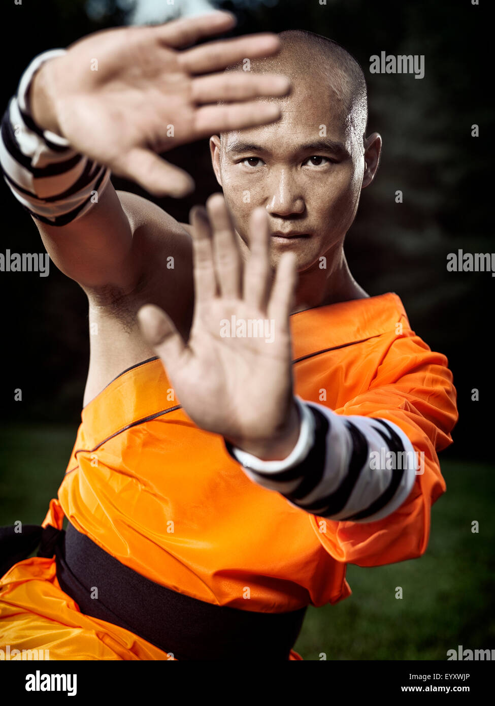 License available at Martial arts, Shaolin Kung Fu