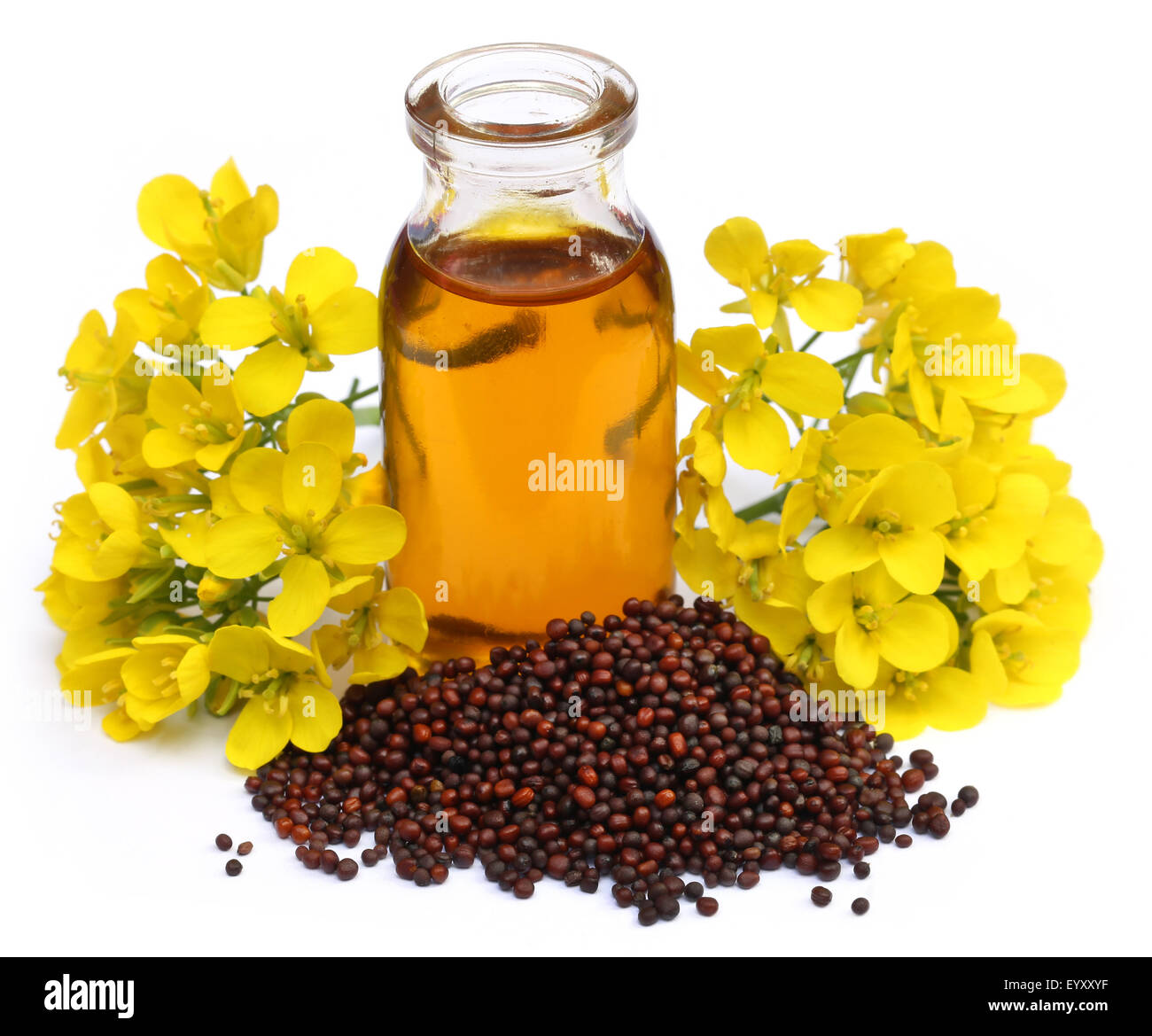 Mustard oil with flower over white background Stock Photo