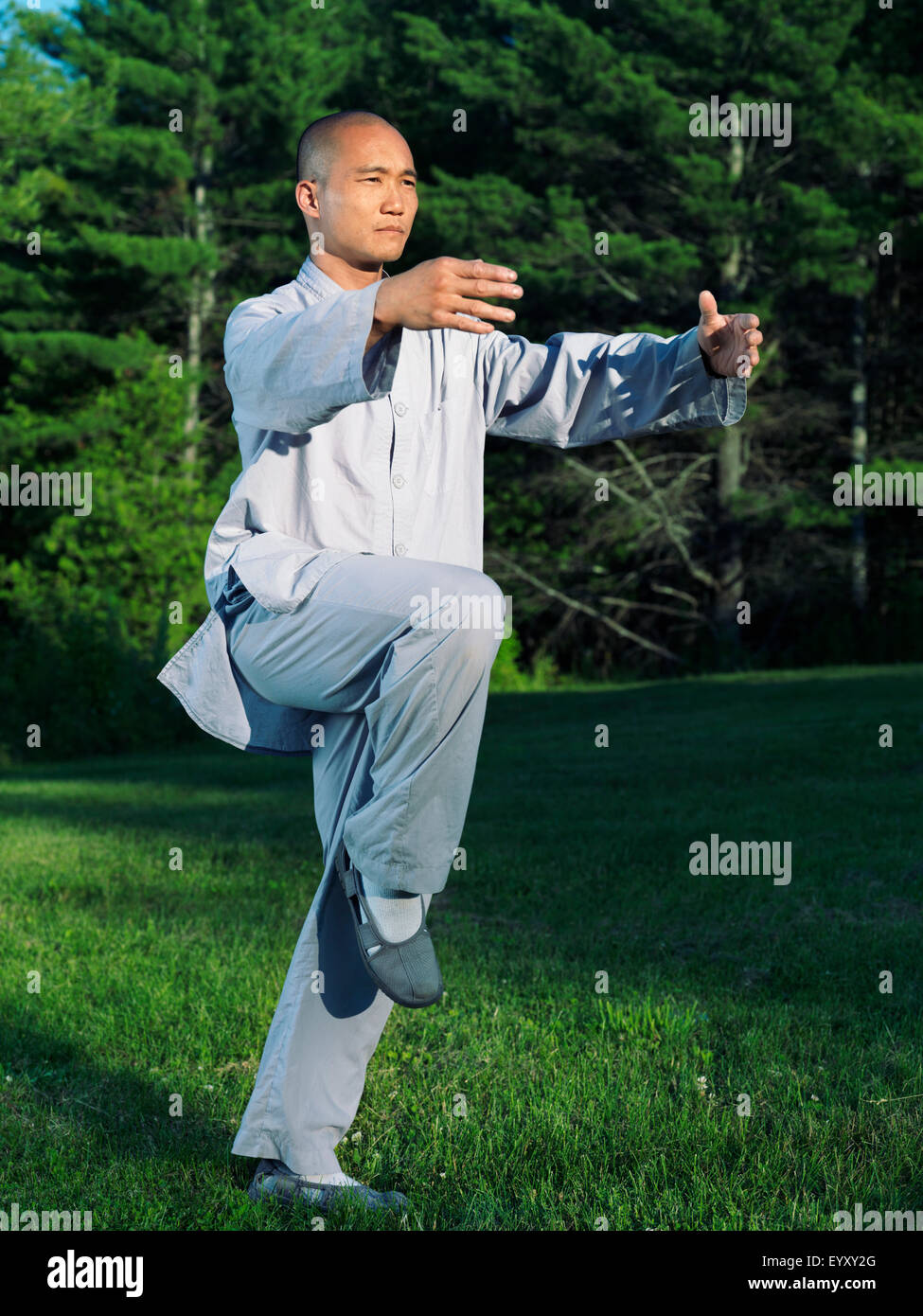 License available at Martial arts, Shaolin Kung Fu