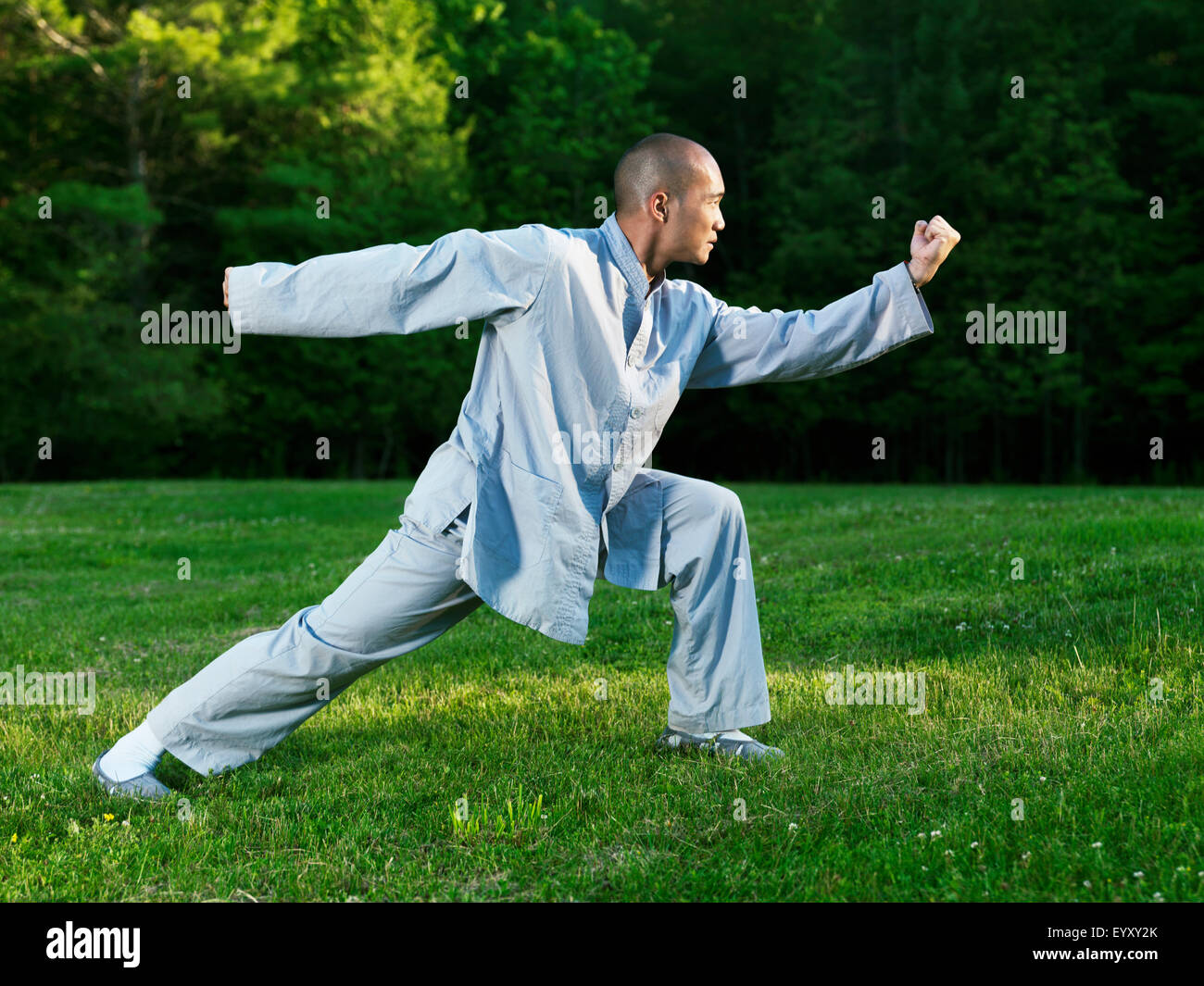 Shaolin Monk Practicing Internal Kung Fu In The Nature Stock Photo Alamy