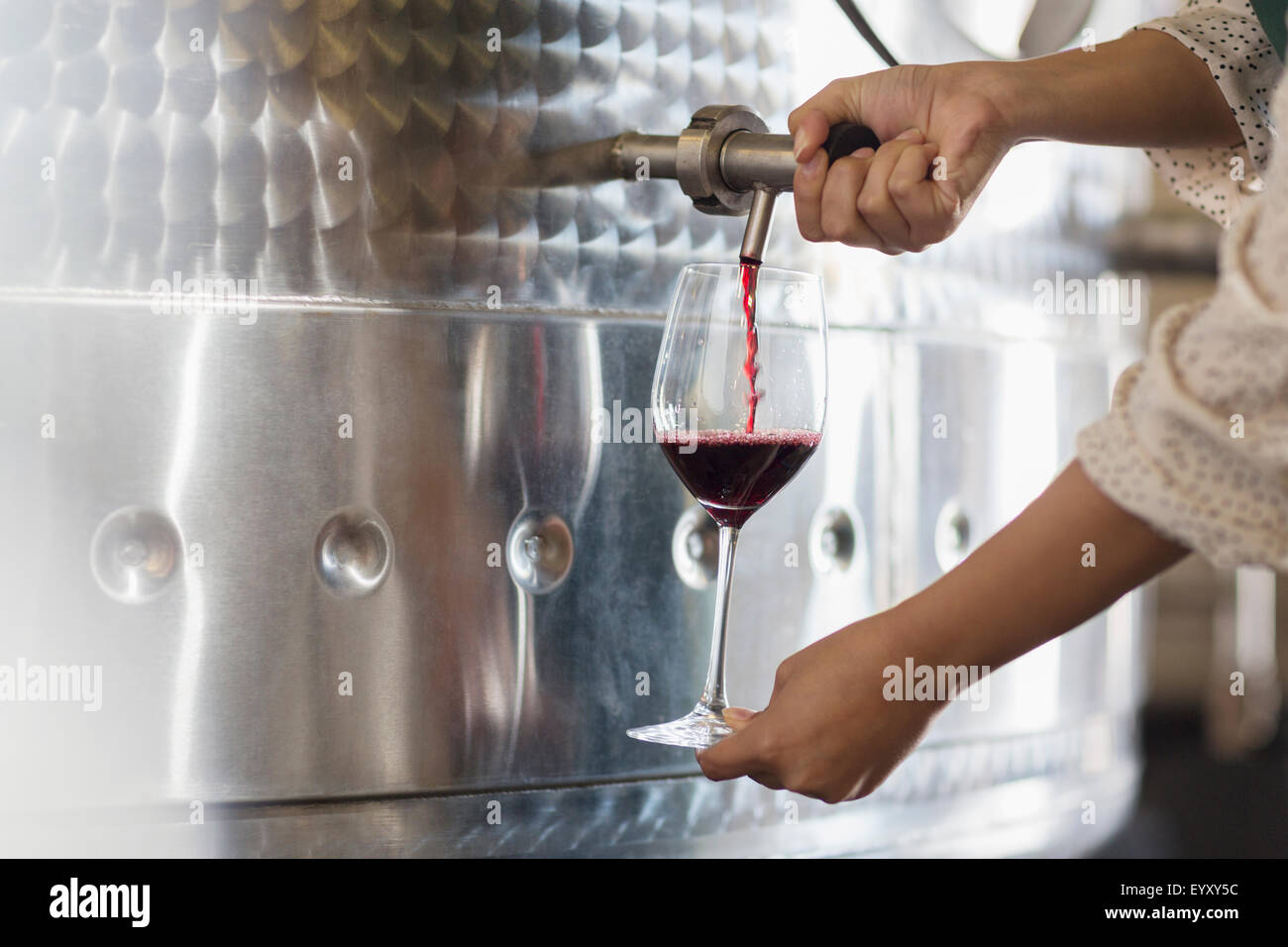 Vintner barrel tasting red wine from stainless steel vat Stock Photo