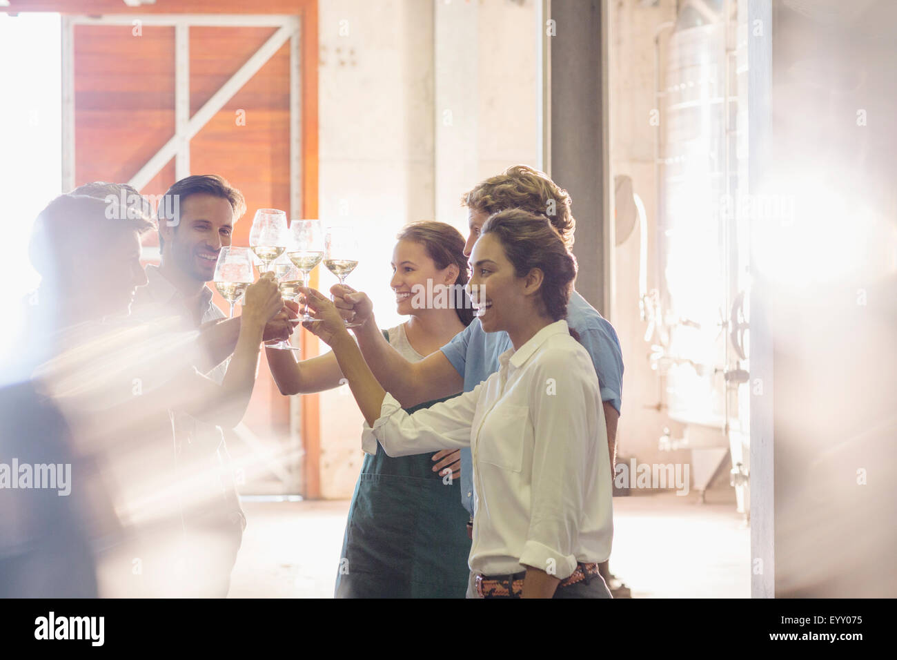 Friends toasting wine glasses at winery Stock Photo