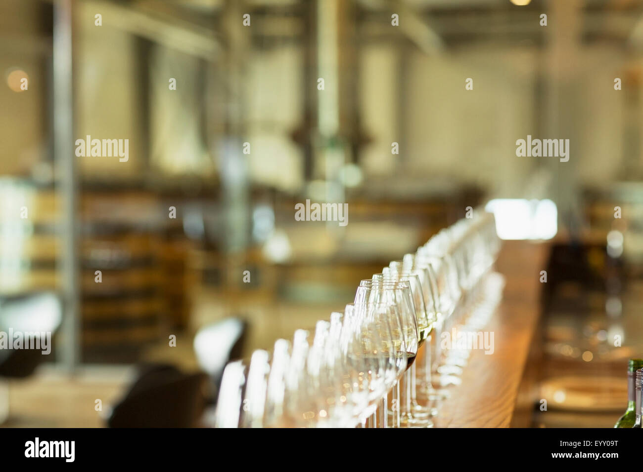 Wine glasses in a row on counter in winery tasting room Stock Photo