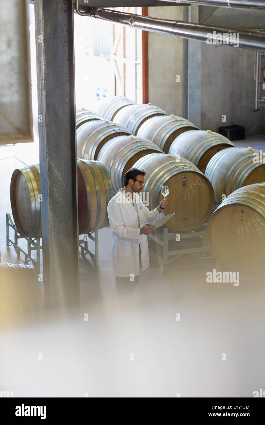 Vintner in lab coat examining white wine in winery cellar Stock Photo