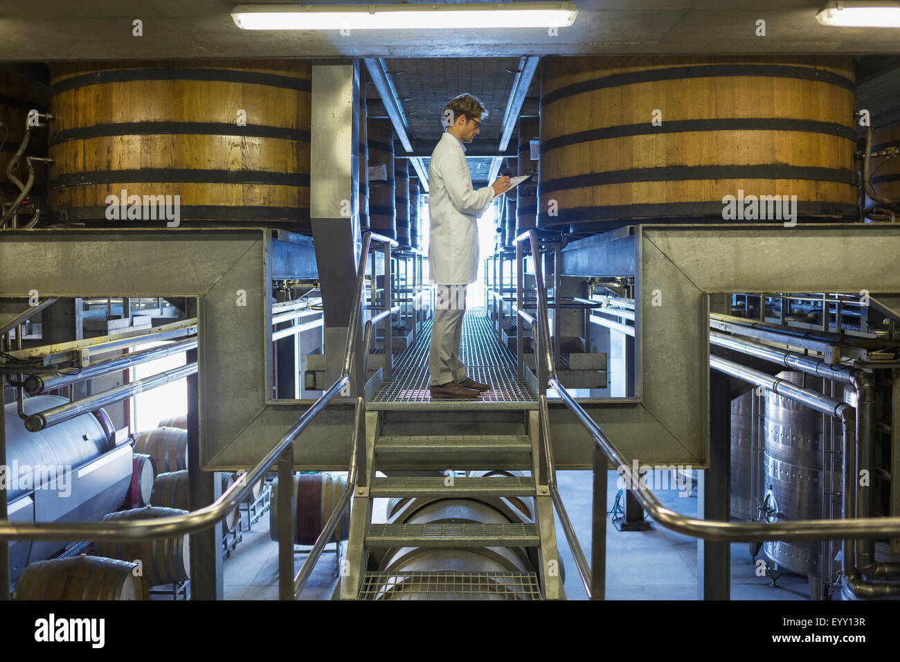 Vintner in lab coat on platform in winery cellar Stock Photo
