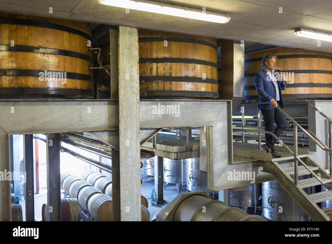 Man in the wine cellar hi-res stock photography and images - Alamy