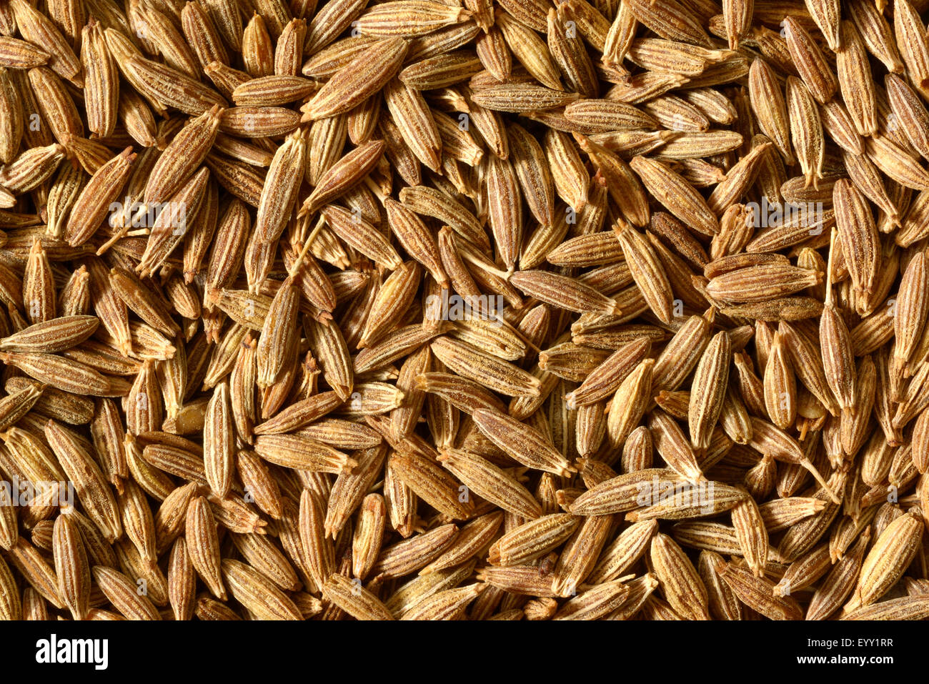 Roasted Brown Cumin Seeds Stock Photo Alamy