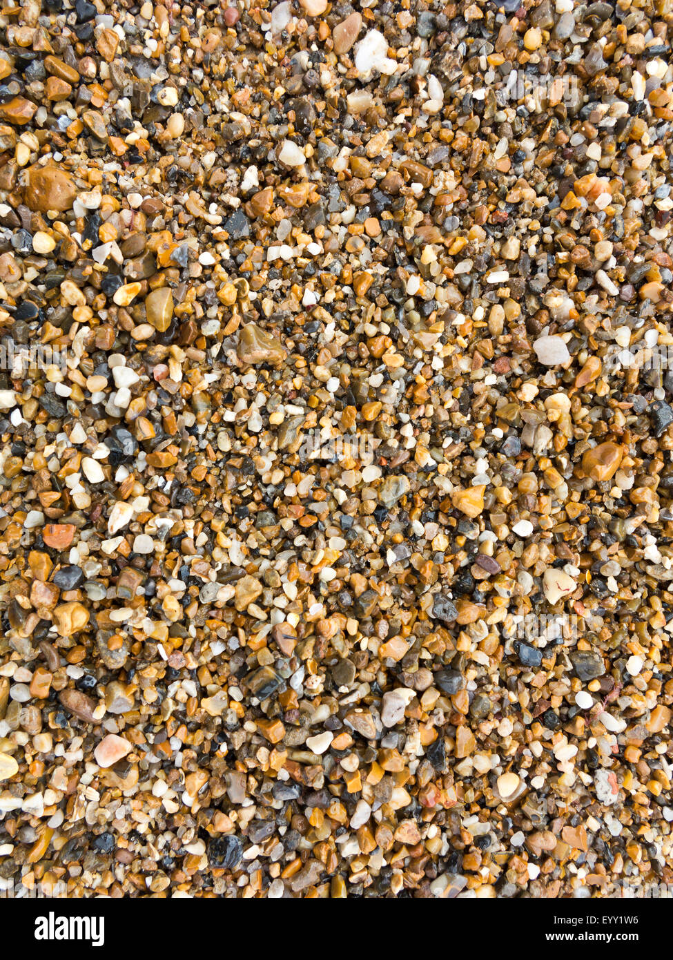 Close up, flat on area of flint gravel on beach Stock Photo Alamy