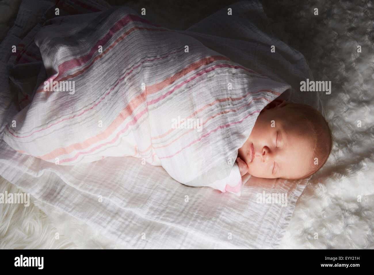 Newborn baby swaddled in blanket Stock Photo Alamy