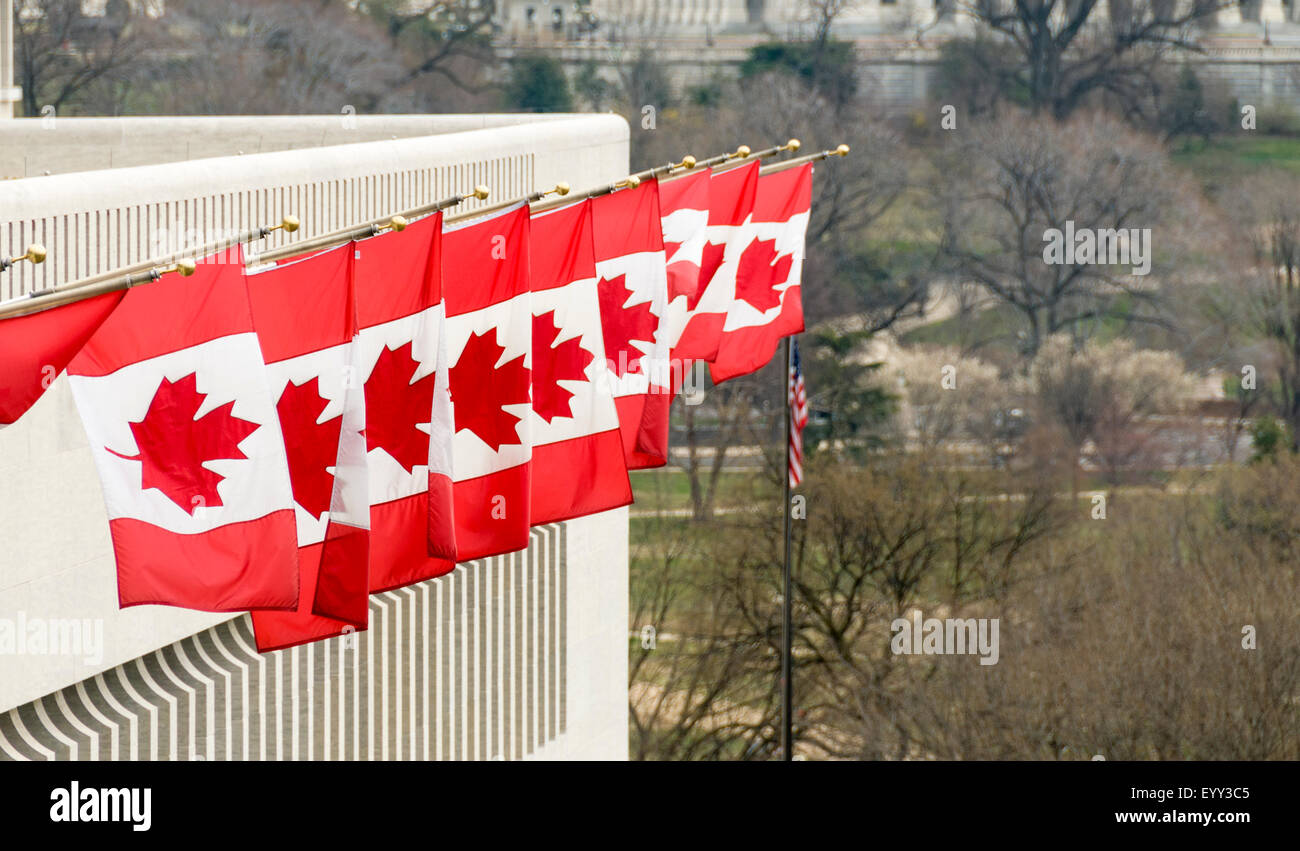 Canadian flags flying outside a building in Washington DC Stock Photo