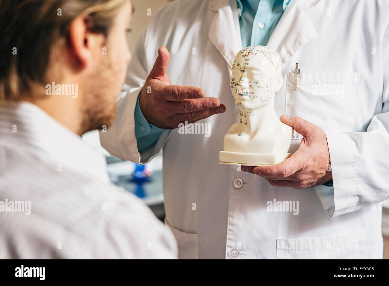 Caucasian acupuncturist showing patient carved bust with diagram Stock Photo