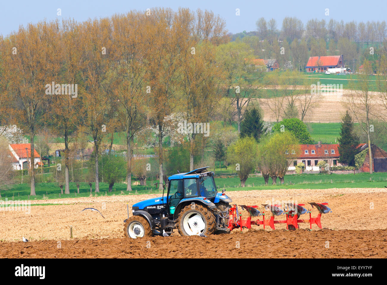 tractor ploughing field, Belgium, Flanders Stock Photo