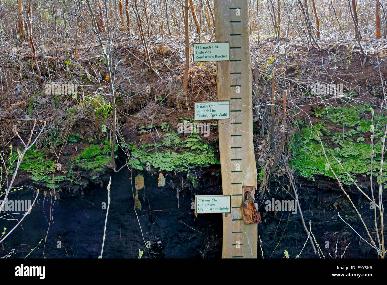 soil profile of highmoor Huvenhoopsmoor, Germany, Lower Saxony Stock Photo