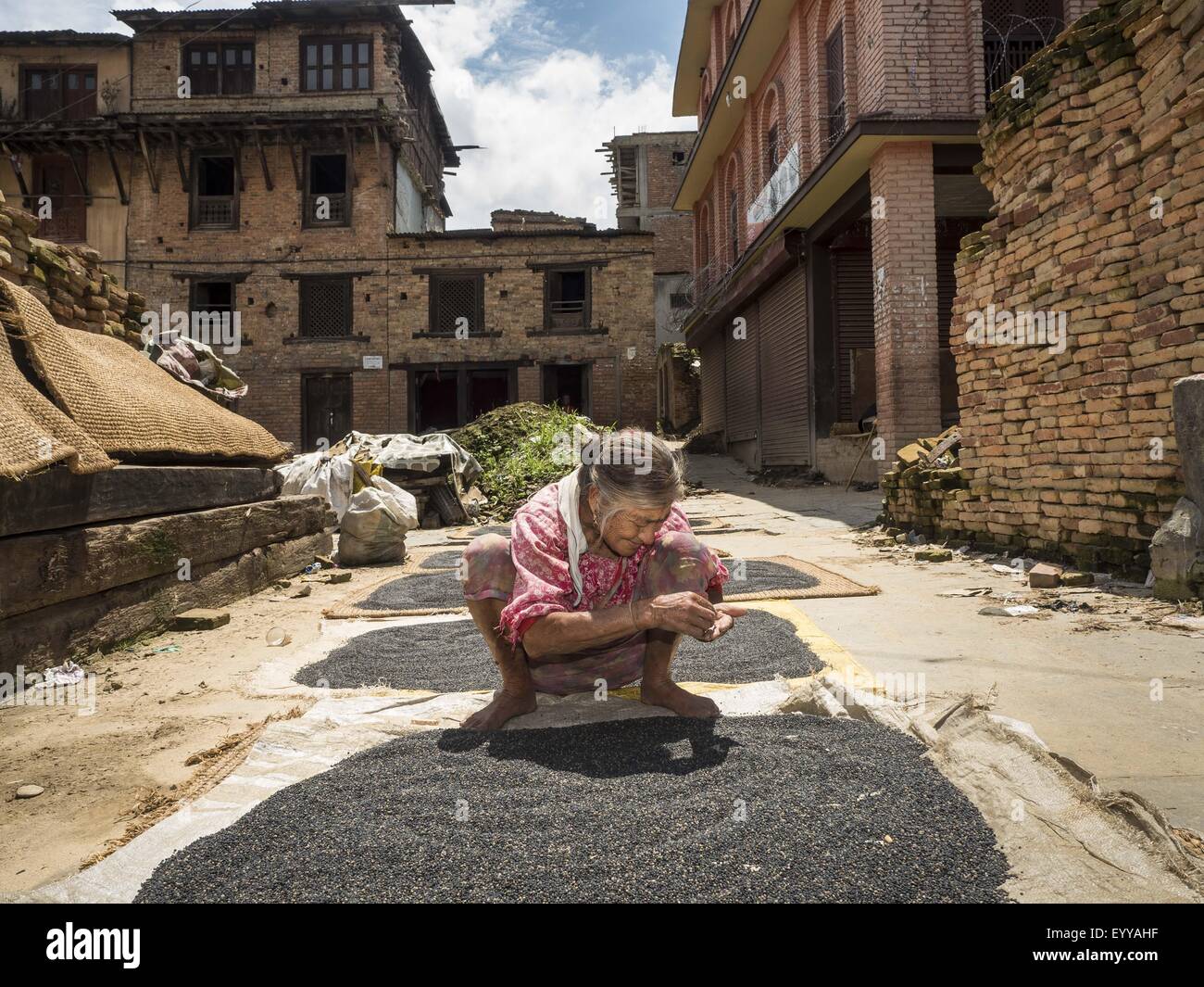 Bungamati, Central Region, Nepal. 4th Aug, 2015. A woman whose home was destroyed in the earthquake dries lentils in the town square in Bungamati, a village about an hour from Kathmandu. Three months after the earthquake many families still live in tents and temporary shelters scattered around the village. The Nepal Earthquake on April 25, 2015, (also known as the Gorkha earthquake) killed more than 9,000 people and injured more than 23,000. It had a magnitude of 7.8. The epicenter was east of the district of Lamjung, and its hypocenter was at a depth of approximately 15Â km (9.3Â mi). It was Stock Photo