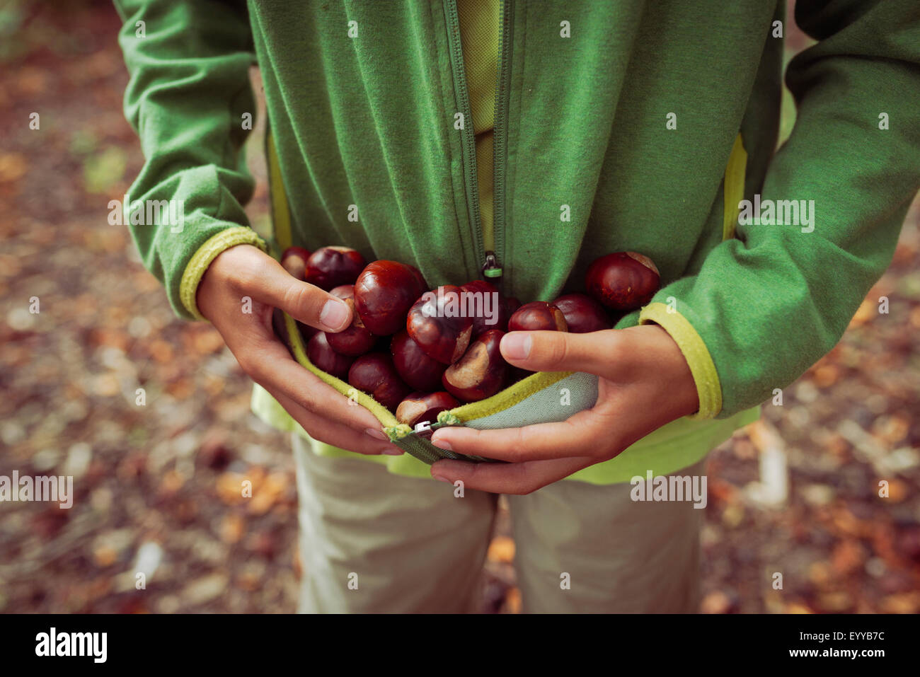 Close up of mixed race boy gathering horse chestnuts in sweater Stock Photo