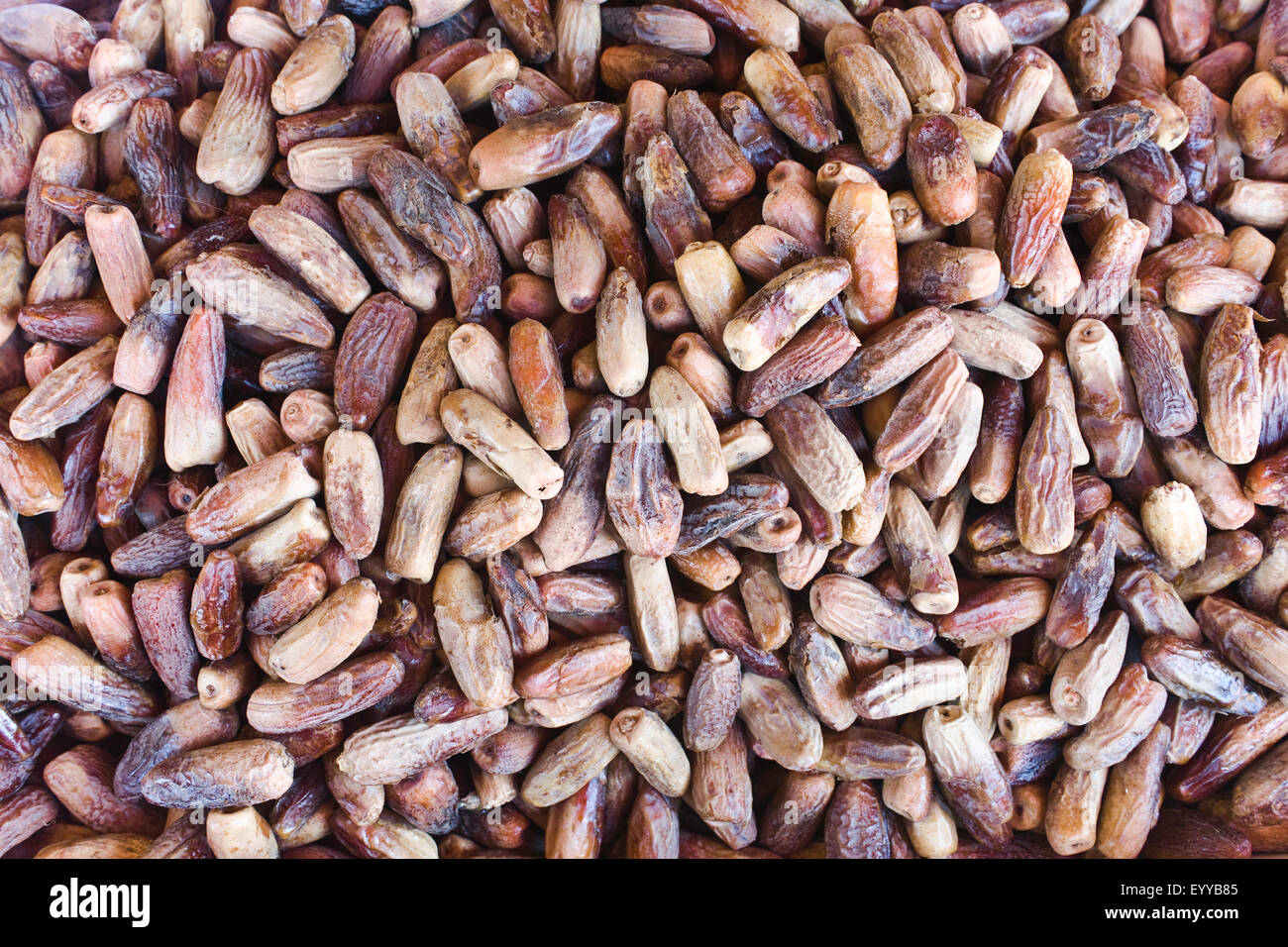 date (Phoenix dactylifera), dried dates Stock Photo Alamy