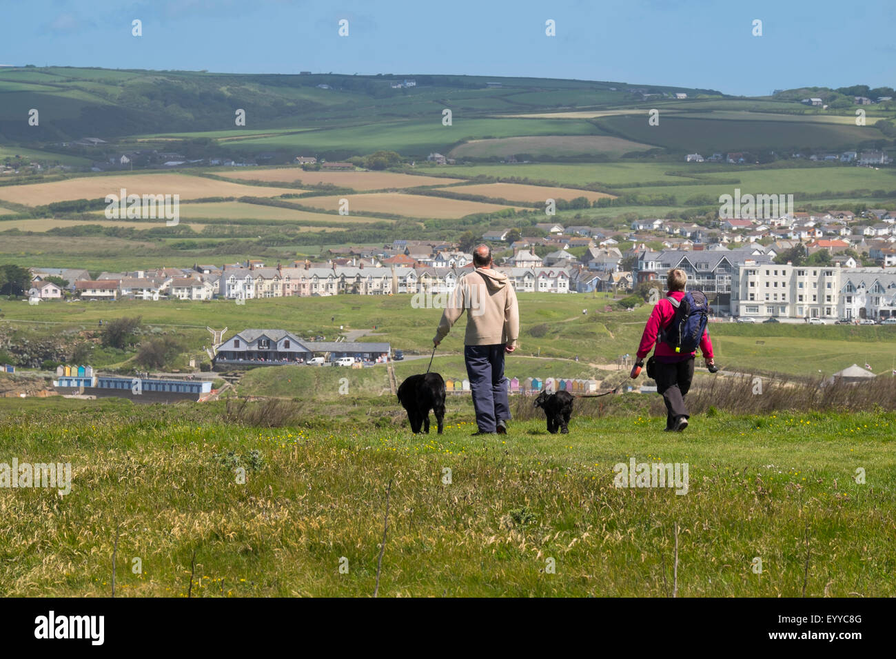 Man and woman walking with dogs on the South West Coast Path at Bude, Cornwall, England, UK Stock Photo