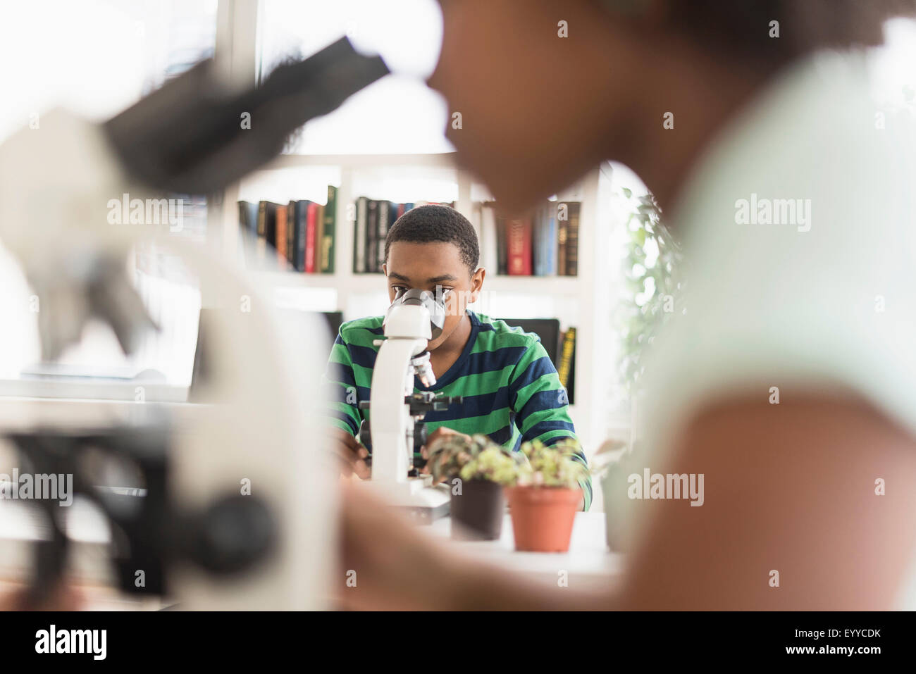 Black students using microscopes in science lab Stock Photo Alamy