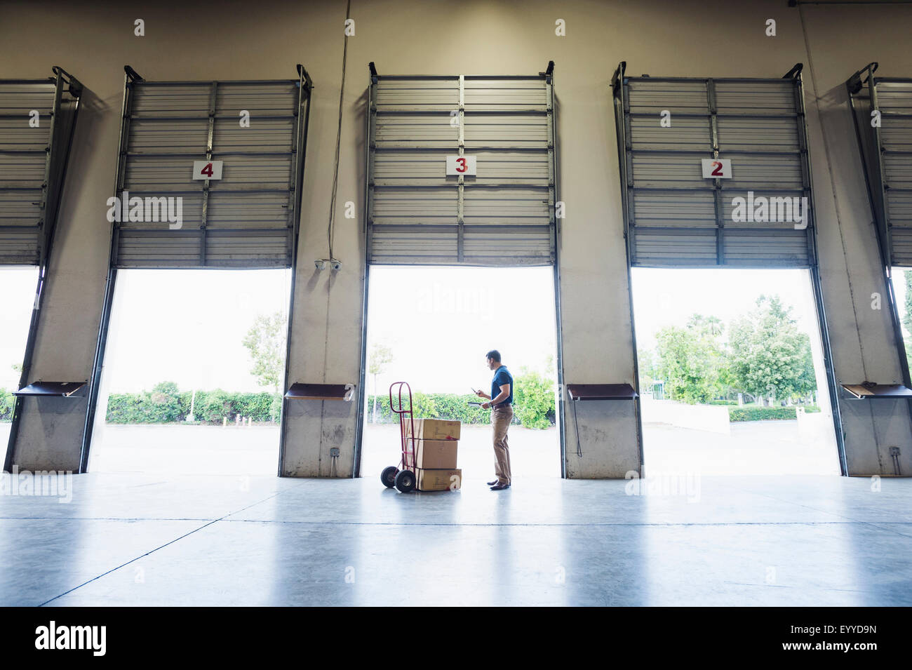 Organizing boxes in warehouse worker hi-res stock photography and ...