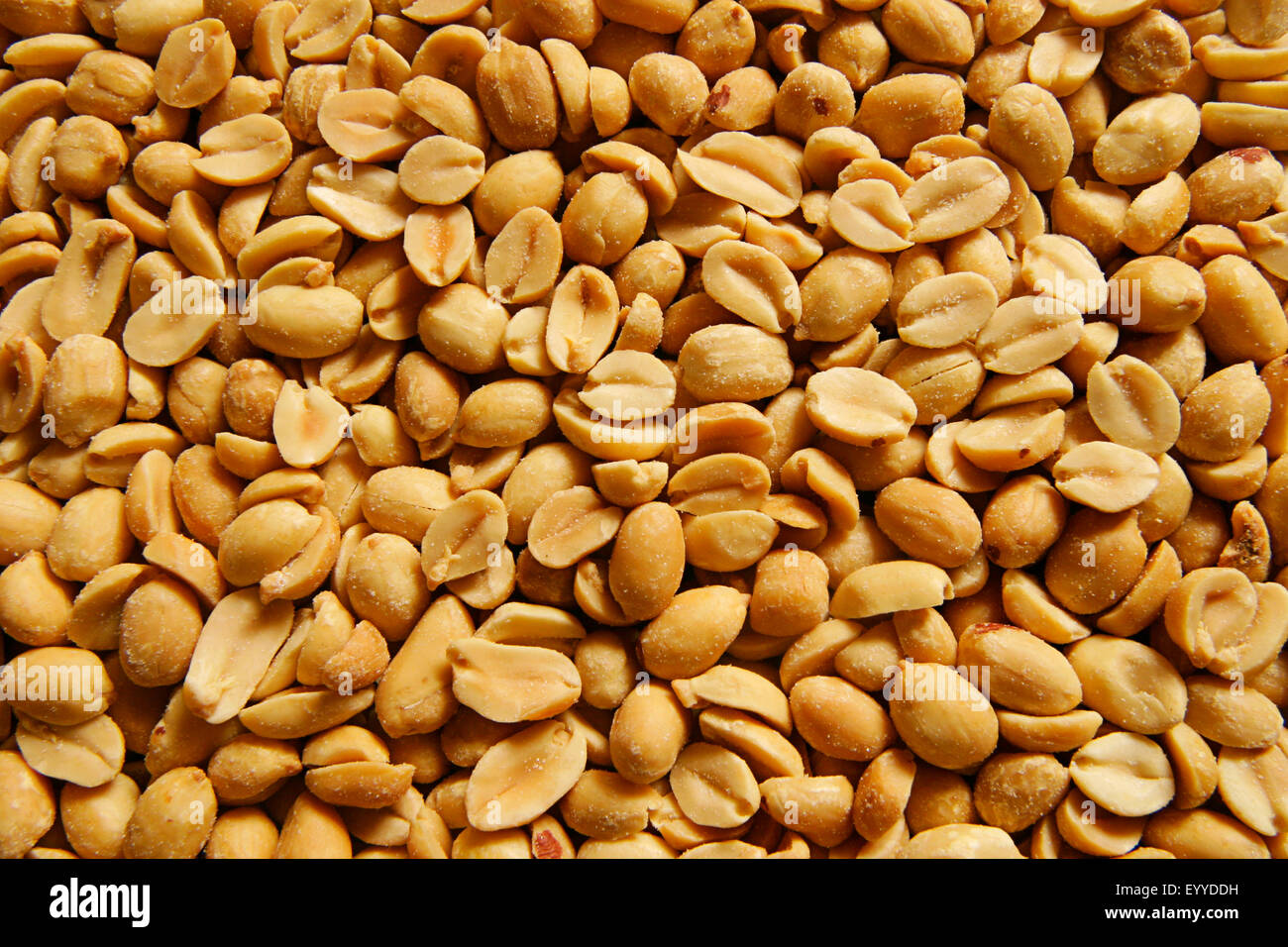 ground-nut, peanut (Arachis hypogaea), peanuts with salt Stock Photo