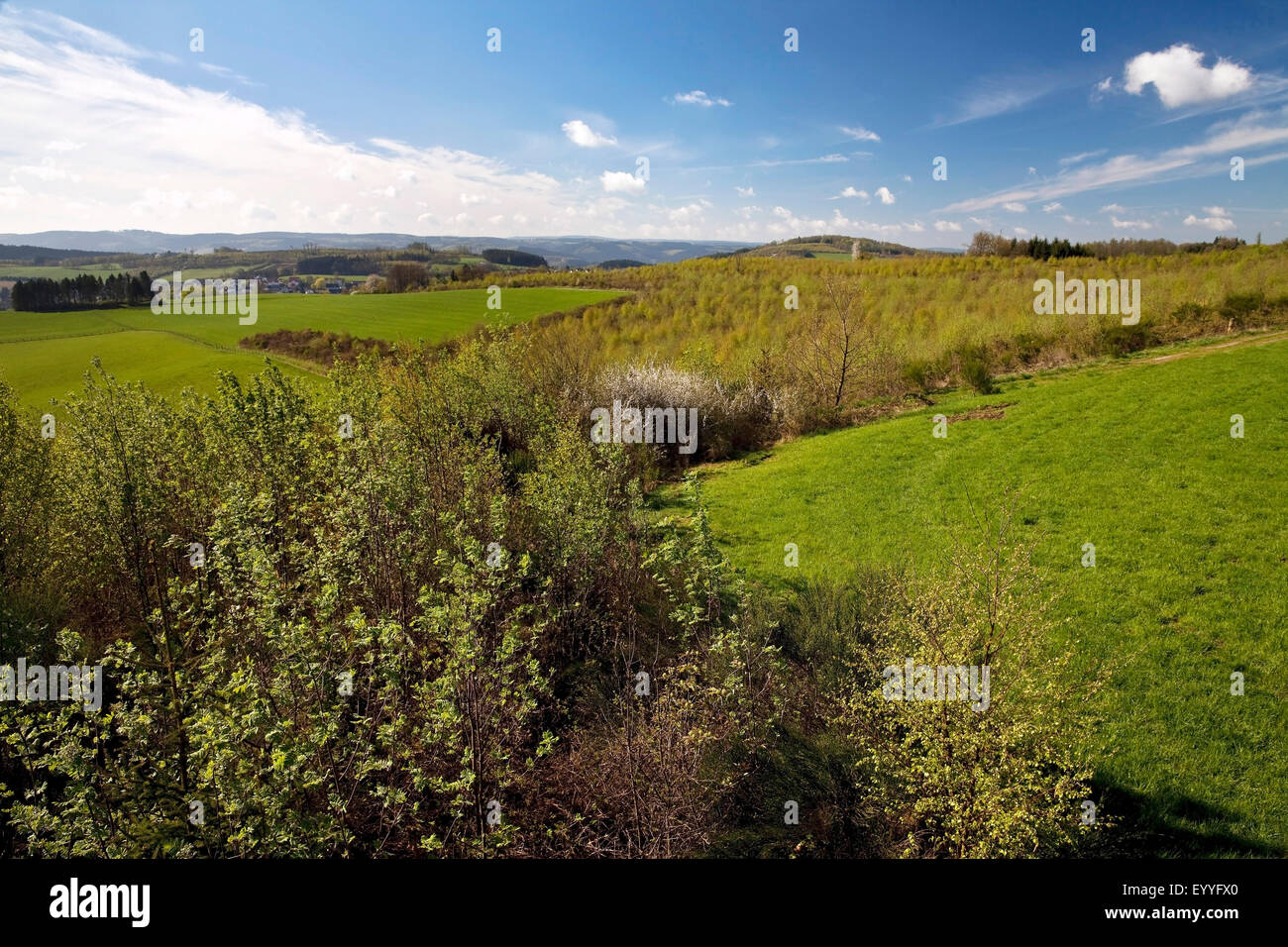 view from Kohlberg mountain to spring scenery, Germany, North Rhine-Westphalia, Sauerland, Neuenrade Stock Photo