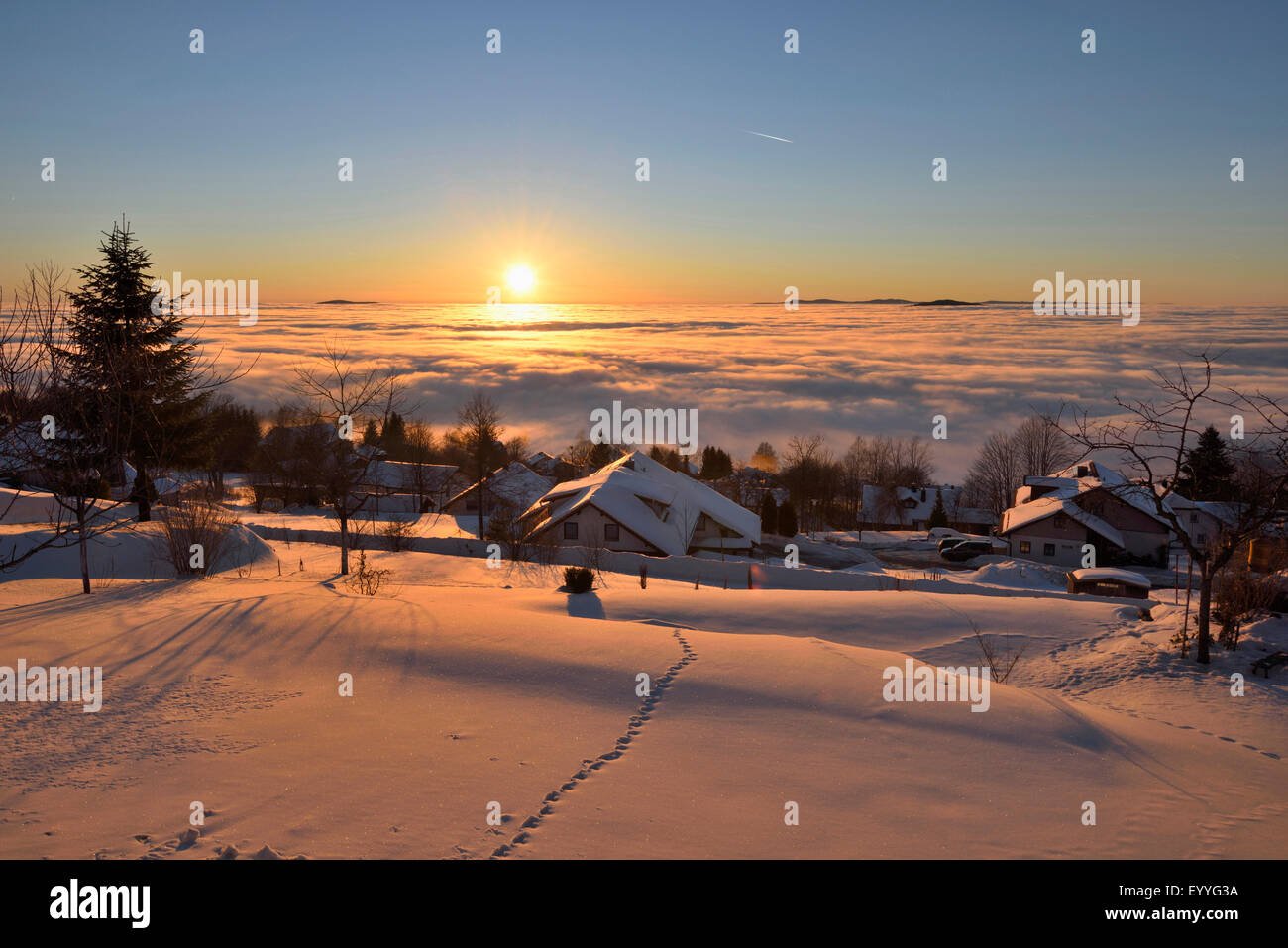 sunrise over snowy landscape, Germany, Bavaria, Bavarian Forest National Park Stock Photo