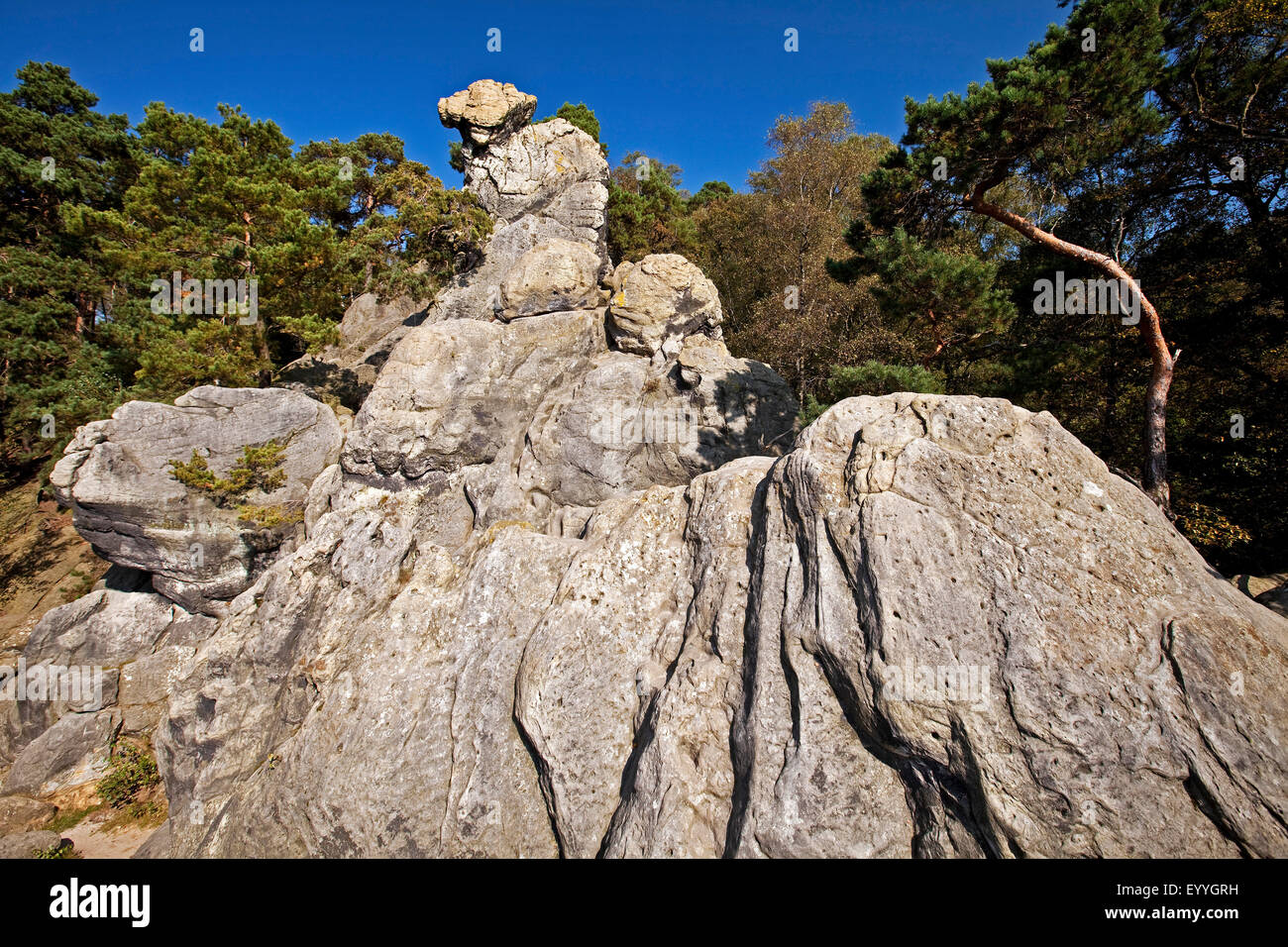 cowering hag, prominent rock of the sandstone formation Doerenther Klippen, Germany, North Rhine-Westphalia, Tecklenburger Land, Ibbenbueren Stock Photo