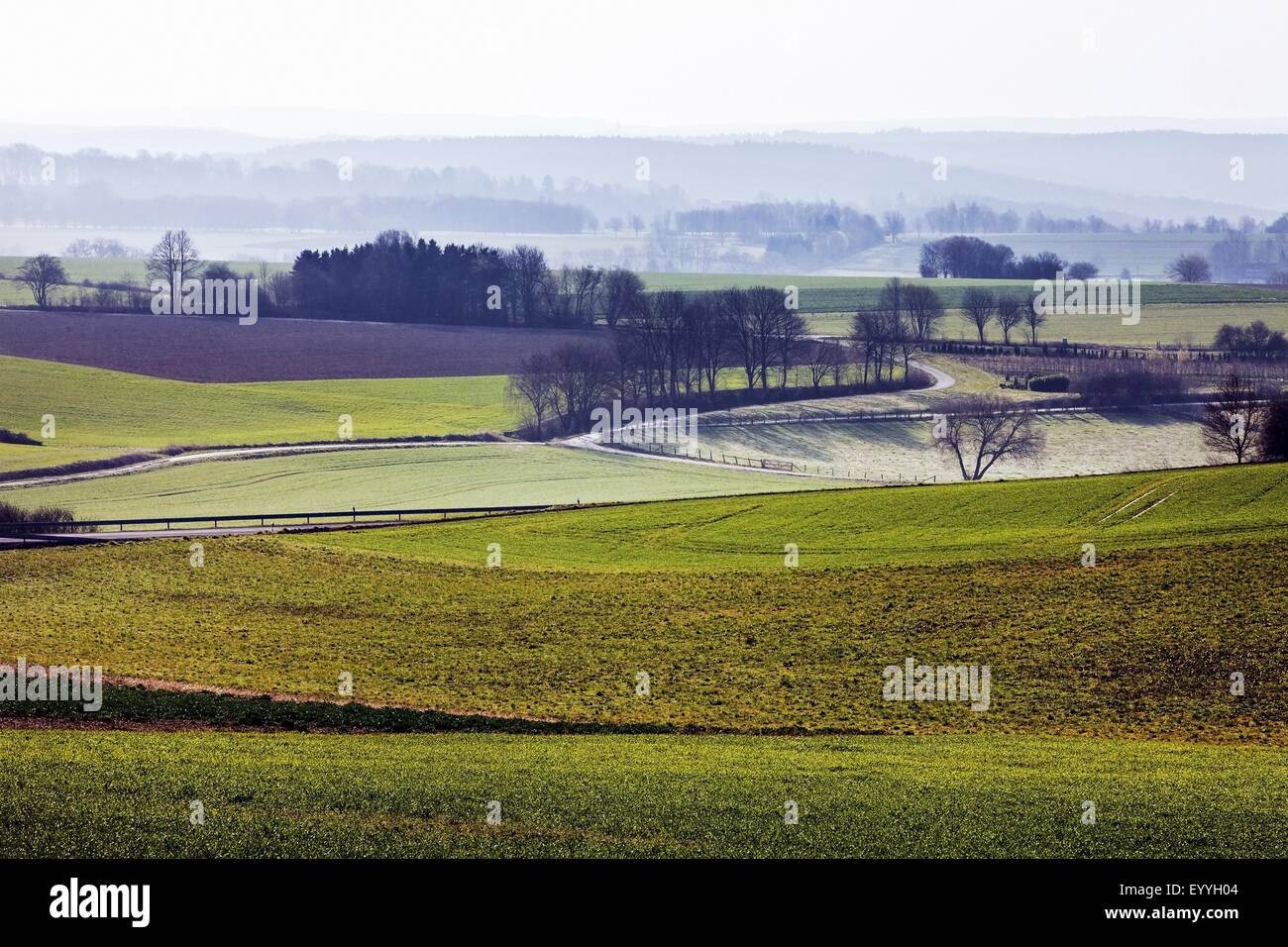 extensive landscape of Moehnesee municipality, Germany, North Rhine-Westphalia, Sauerland Stock Photo