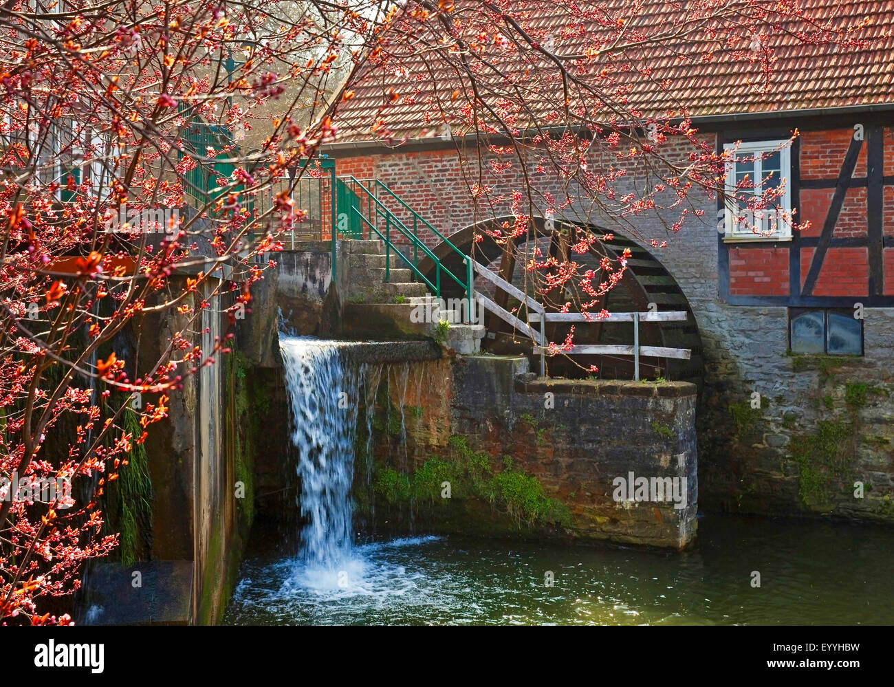 Stueting's Mill in Belecke, Germany, North Rhine-Westphalia, Sauerland, Warstein Stock Photo