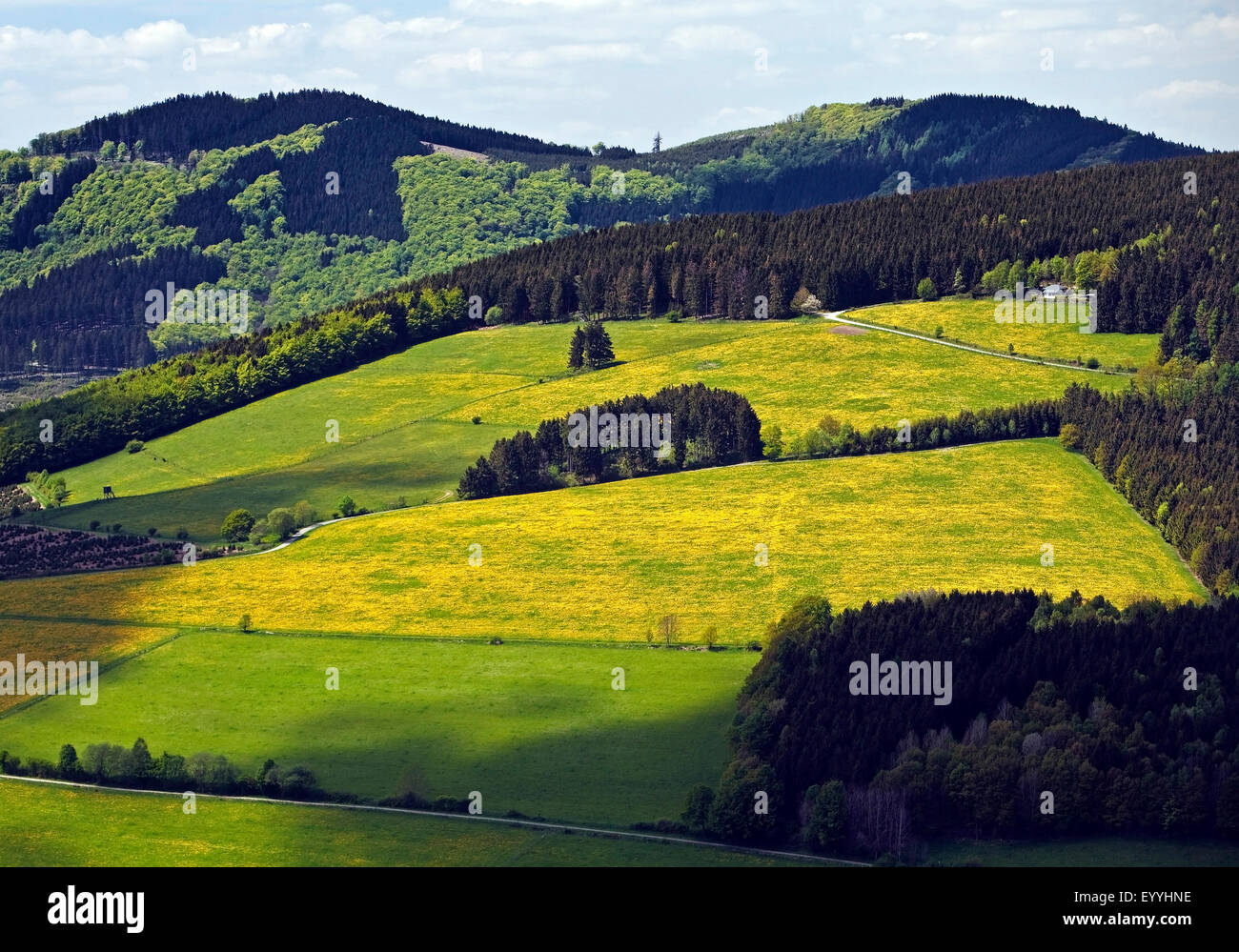 low mountain scenery near Bruchhausen in spring, Germany, North Rhine-Westphalia, Sauerland, Olsberg Stock Photo