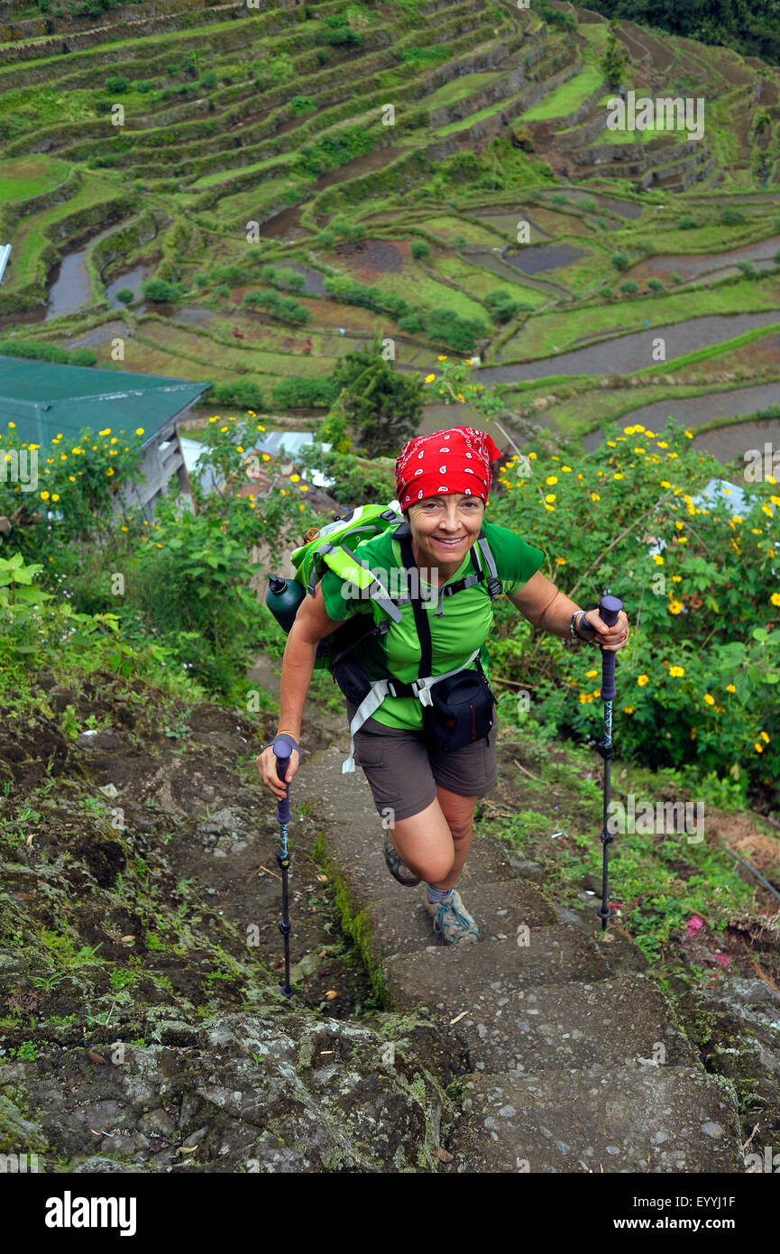 tourist with nordic walking poles hiking up on stairs through the Batad Rice Terraces, Philippines, Luzon, Batad Stock Photo