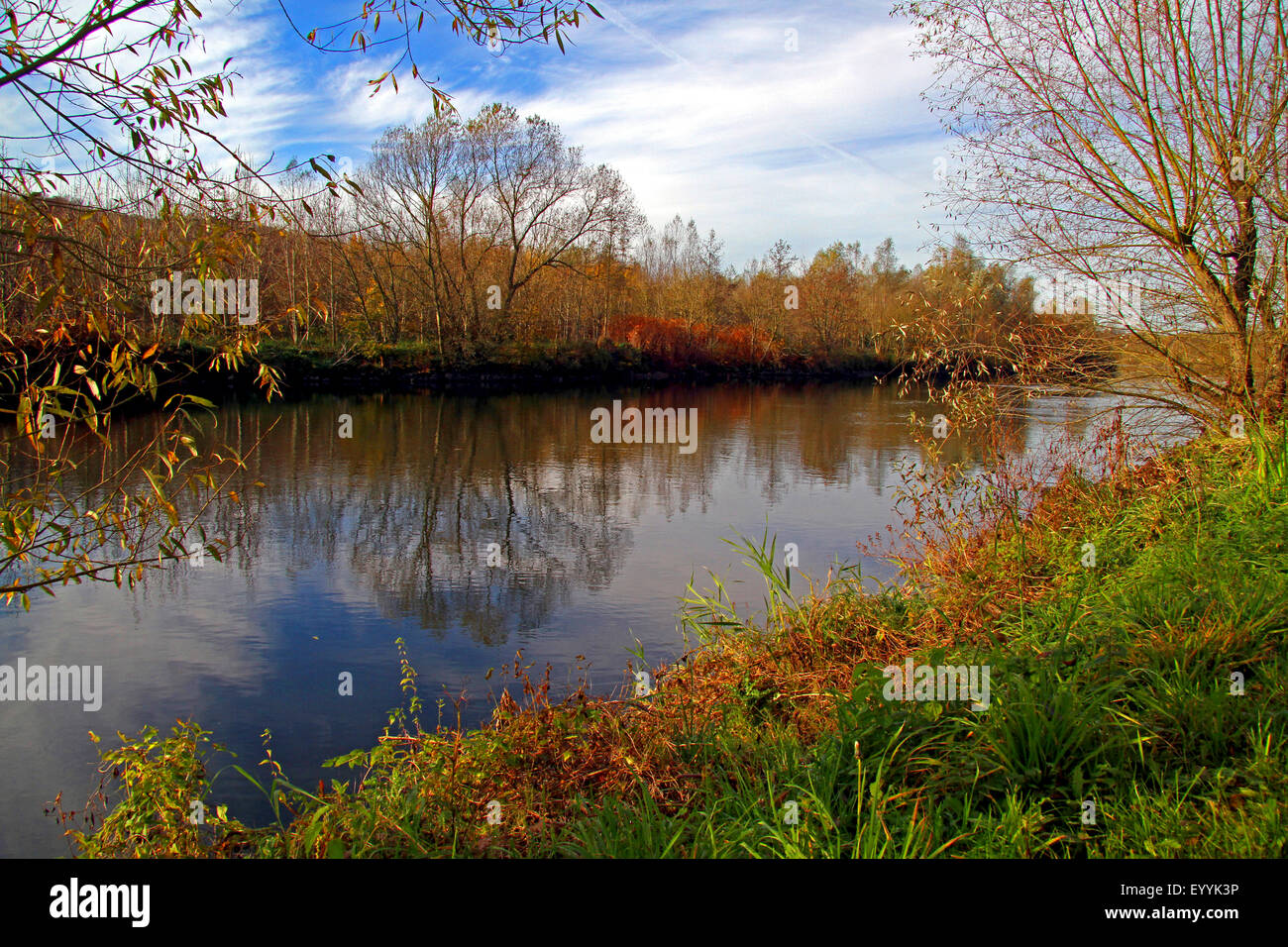 Ruhr River in autumn, Heisinger Aue nature reserve, Germany, North Stock  Photo - Alamy