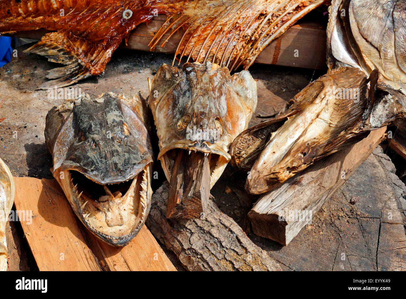 fish heads and logs, decoration of a fish restaurant, Germany, Brandenburg, Werder an der Havel Stock Photo