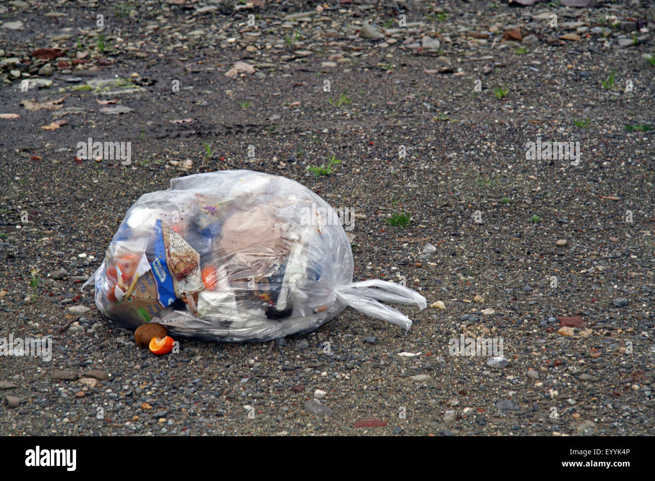 discarded trash bag, Germany Stock Photo