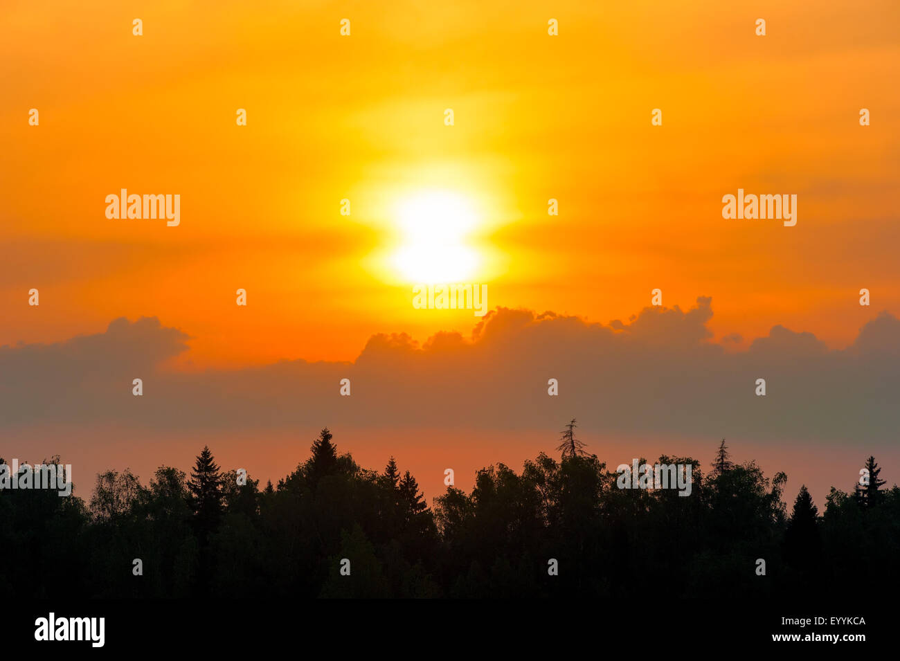 beautiful sunset over the forest and cumulus clouds Stock Photo - Alamy