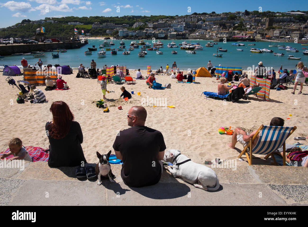 People sunbathing with dogs by the harbour at St Ives, Cornwall, England, UK Stock Photo