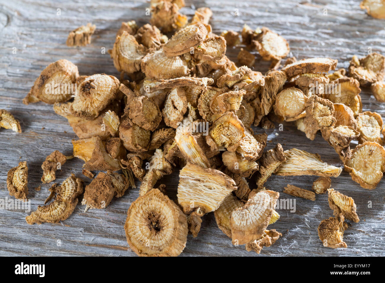 Bouncingbet, Bouncing-bet, Soapwort (Saponaria officinalis), dried roots , Germany Stock Photo